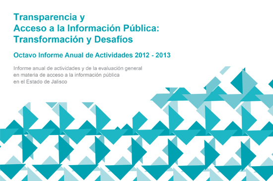 informe_2013