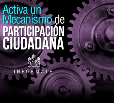 Activa un mecanismo de participación IEPC