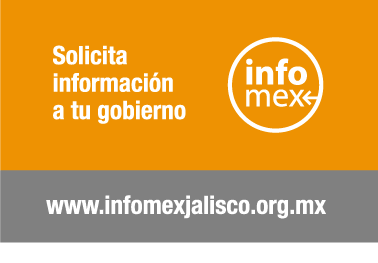 Solicita información a tu gobierno