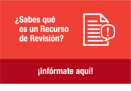 recurso_revision