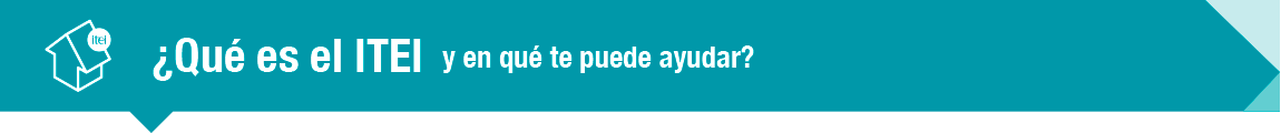 ¿Qué es el ITEI?