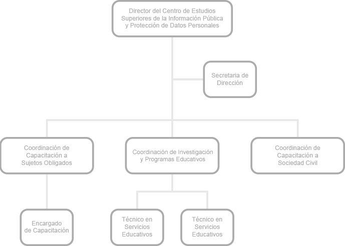 Estructura el área CECA