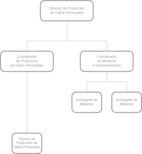 Estructura el área DPDP