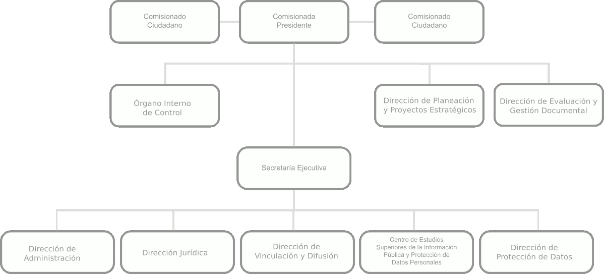 Estructura orgánica