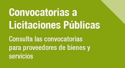 Convocatorias a Licitaciones Públicas